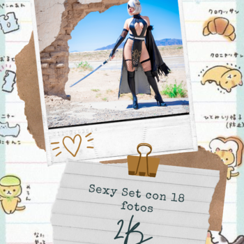 2B Shinobi HD Set
