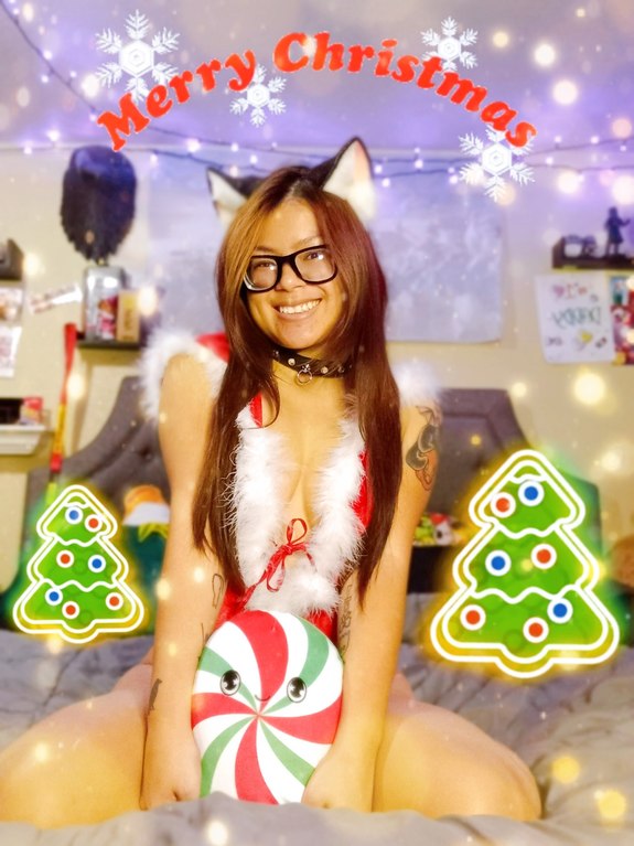 Christmas Kitten 2022