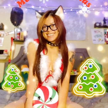 Christmas Kitten 2022