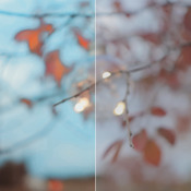 LUT Wedding 285