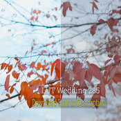 LUT Wedding 285