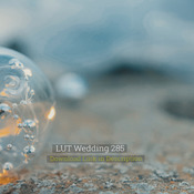LUT Wedding 285