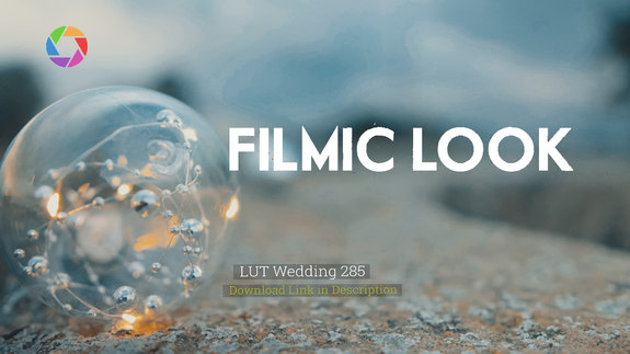 LUT Wedding 285