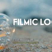 LUT Wedding 285