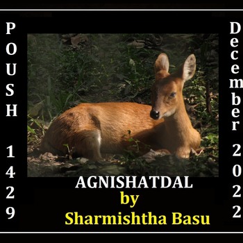 Agnishatdal Poush 1429, December 2022
