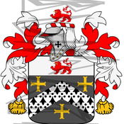 Turner Coat of Arms with Crest and Line Drawing.