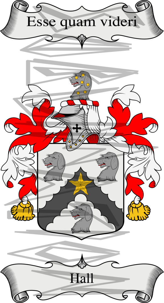Hall Coat of Arms with Crest and Line Drawing.
