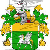 Quin Coat of Arms with Crest Line Drawing.