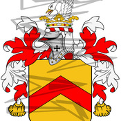 Stafford Coat of of Arms with Crest Line Drawing.