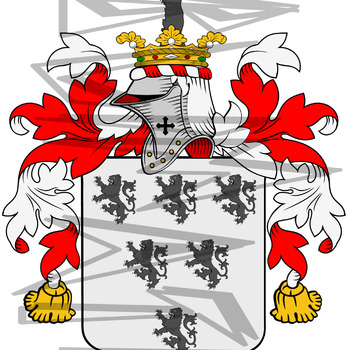 Savage Coat of Arms with the Crest.