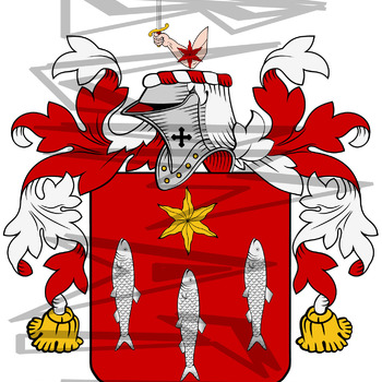 Kane Coat of Arms with Crest and Line Drawing.