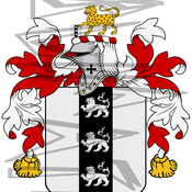 Taylor Coat of Arms with Crest Line Drawing,