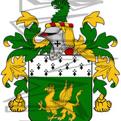 Collins Coat of Arms with Crest and Line Drawing.