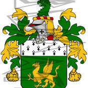 Collins Coat of Arms with Crest.