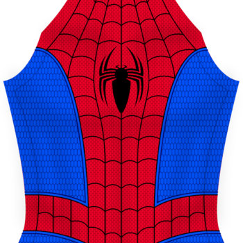 Spider-Man (TLC Version)