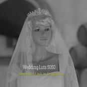 Wedding Luts 5050