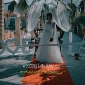 Wedding Luts 5050