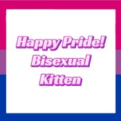 Happy Pride! Bisexual Kitten