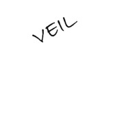 Veil