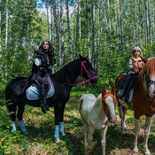 Horse walk Jennifer and Ciri