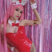 Zero two Bunny