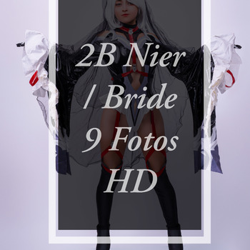 2B Nier/Bride