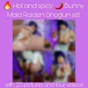 Hot and spicy Bunny Raiden Shogun set