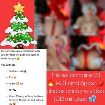 Hot and spiy christmas 2B set