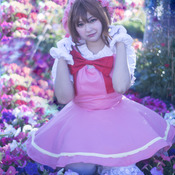 sakura card captor