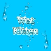 Wet Kitten