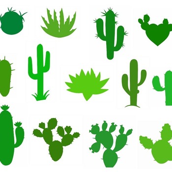 104 Cactus svg,cut files,silhouette clipart,vinyl files,vector digital,svg file,svg cut file,clipart svg,graphics clipart