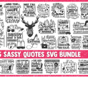 108 Sassy SVG Bundle, funny quotes svg, funny svg sayings, southern svg, sarcasm svg, girl boss svg, mom svg, momlife svg, svg files for cri