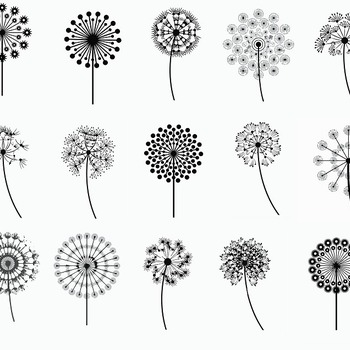 126 Dandelion flower svg drawing black and white image clip art bundle