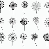 126 Dandelion flower svg drawing black and white image clip art bundle