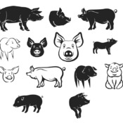 134 Pig svg,cut files,silhouette clipart,vinyl files,vector digital,svg file,svg cut file,clipart svg,graphics clipart