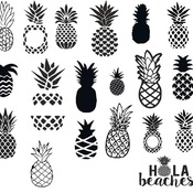 135 Pineapple svg,cut files,silhouette clipart,vinyl files,vector digital,svg file,svg cut file,clipart svg,graphics clipart