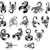 138 Scorpion svg,cut files,silhouette clipart,vinyl files,vector digital,svg file,svg cut file,clipart svg,graphics clipart