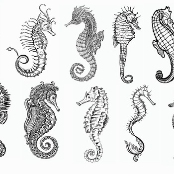 143 Seahorse file drawing svg clip art black and white image bundle