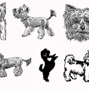 145 Shih tzu maltese svg silhouette layered bundle drawing clip art black and white image