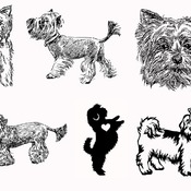 145 Shih tzu maltese svg silhouette layered bundle drawing clip art black and white image