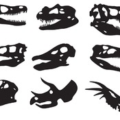 156 Dinosaur Skull svg,cut files,silhouette clipart,vinyl files,vector digital,svg file,svg cut file,clipart svg,graphics clipart