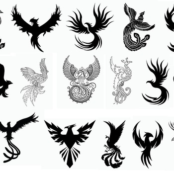 174 Phoenix bird tattoo svg symbol drawing black and white image bundle clip art