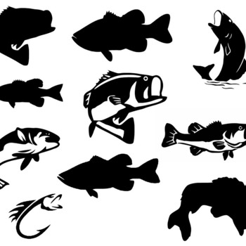 18 Fish bass painted svg clip art bundle image graphic