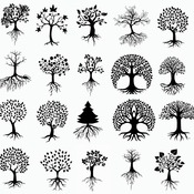 182 Tree With Roots drawing svg tattoo clip art silhouette black and white image