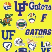 2 Florida Gators Svg Dxf Eps Png, Cut File Pack , Download Football Files, Cricut, Cameo, Vinyl Machine Active