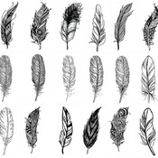 20 Feather birds svg boa peacock turkey eagle indian clip art image bundle