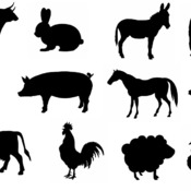 203 Farm Animal cow svg rooster horse chicken pig hare black and white clip art image drawing