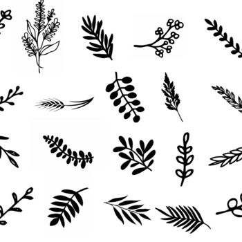 21 Leaves grass svg autumn plants tropical fall jungle safari clip art