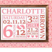 23 Birth announcement svg, birth stats svg, newborn svg, baby svg, pregnant svg, birth announcement template svg, baby girl svg, welcome bab