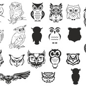 28 Owl night svg bird clip art bundle black and white design images